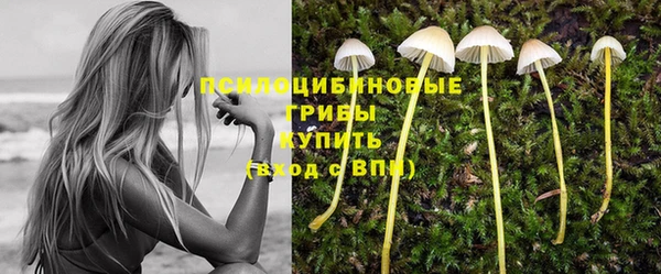 каннабис Алексеевка