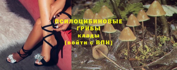 круглые Алзамай