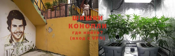 круглые Алзамай